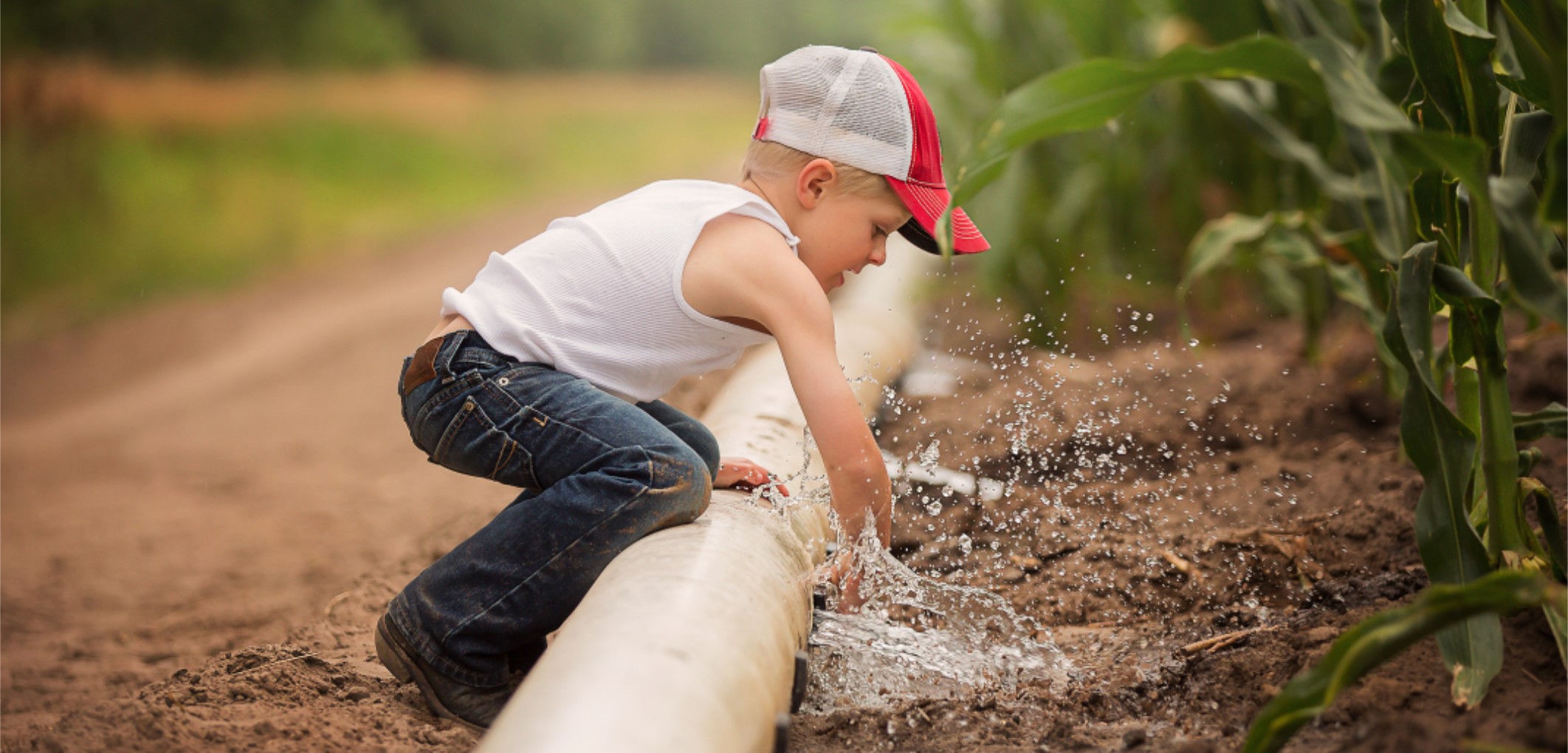 boy irrigating corn